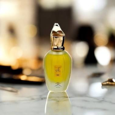 زرجف رنسانس