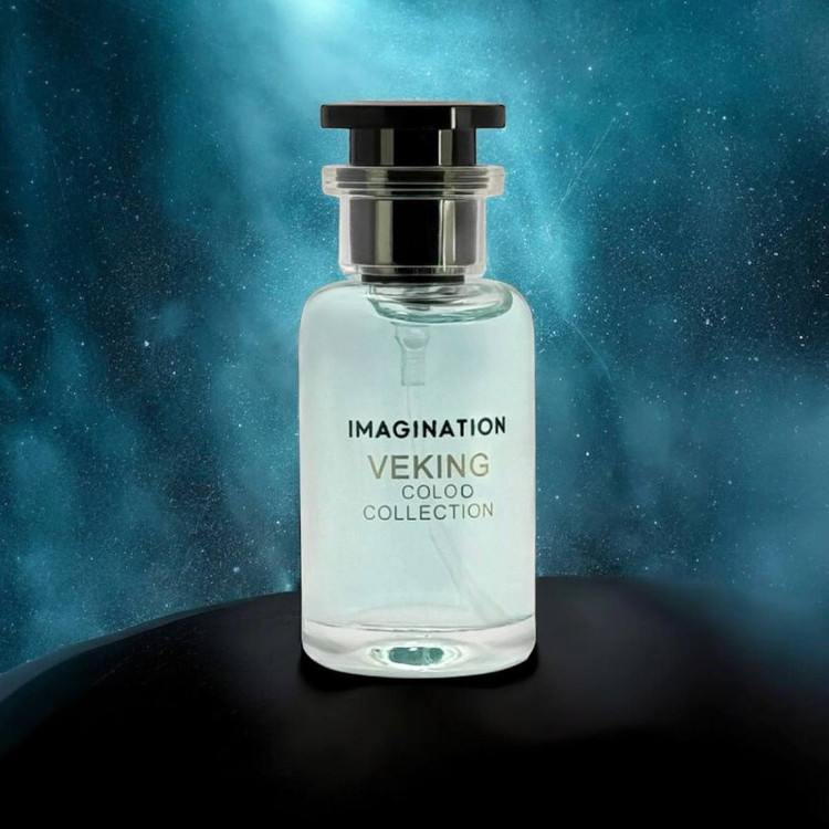 لویی ویتون ایمجینیشن