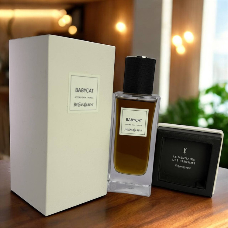 ایو سن لورن مدل بیبی کت