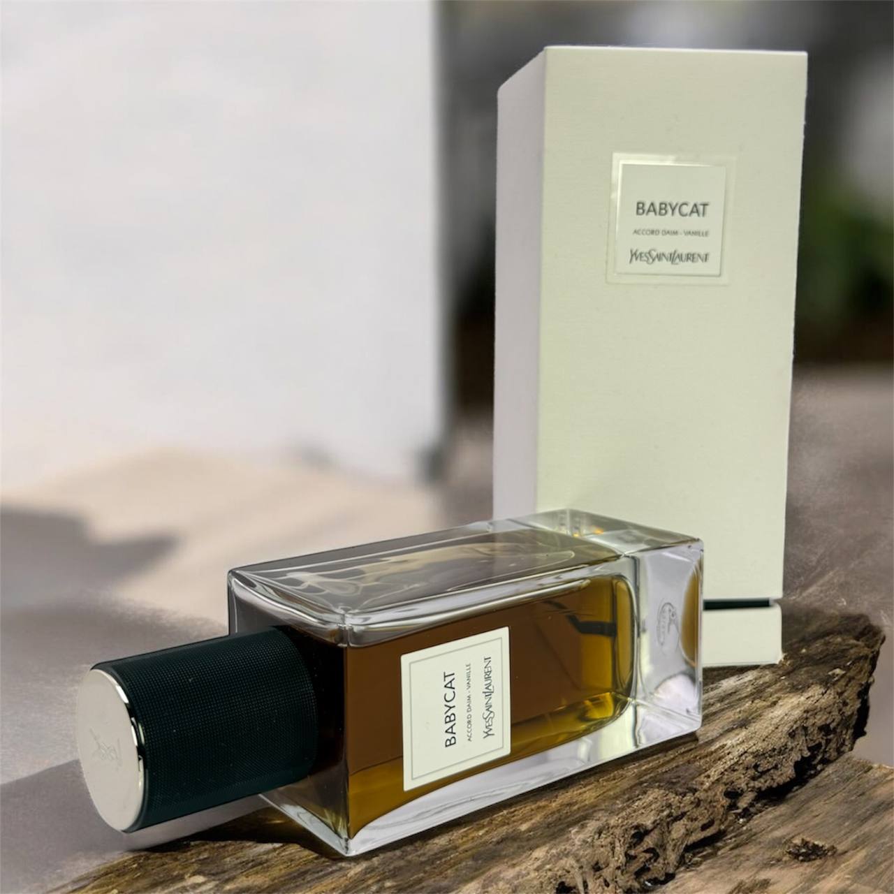 ایو سن لورن مدل بیبی کت